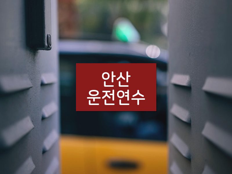 안산운전연수 후기