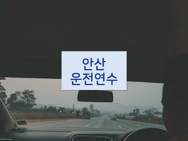 안산운전연수 후기