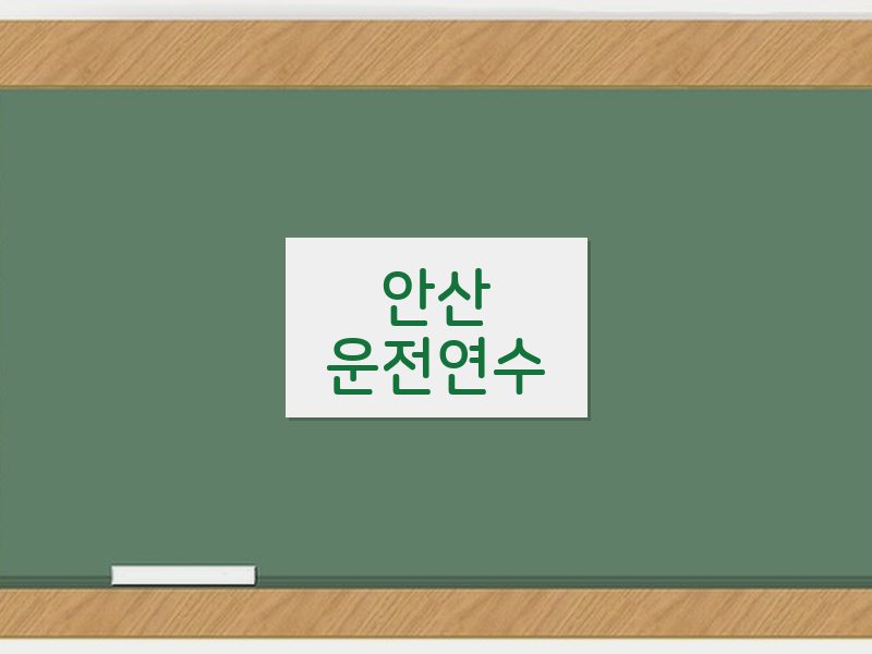 안산운전연수 후기