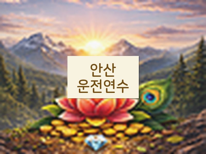 안산운전연수 후기