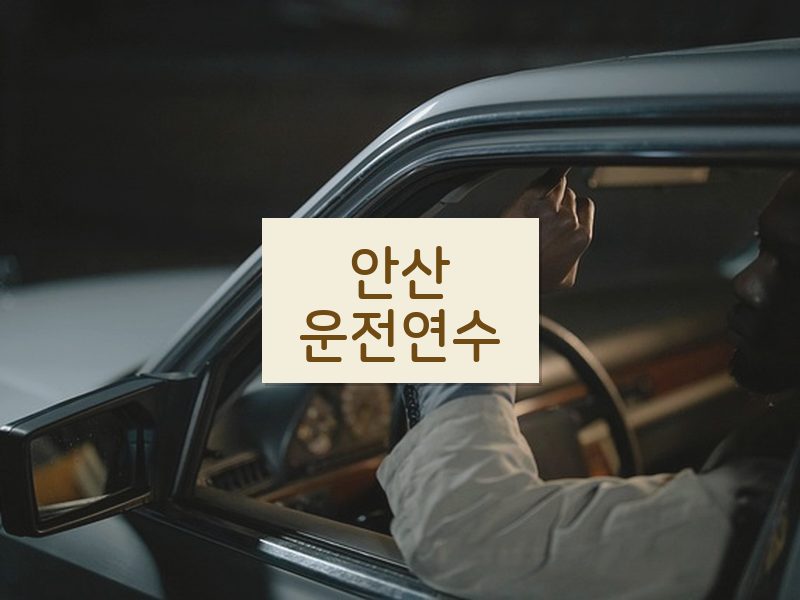 안산운전연수 후기