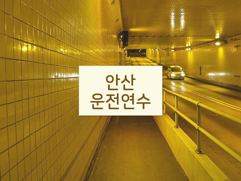안산운전연수 후기