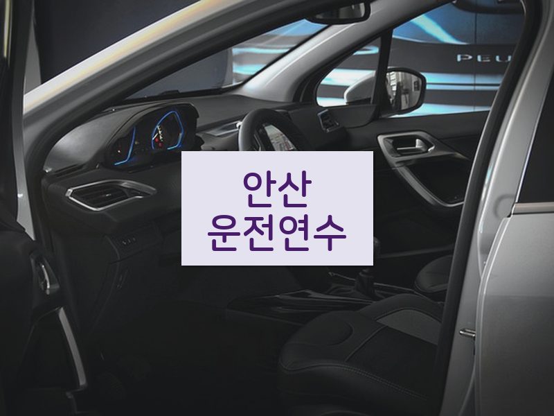 안산운전연수 후기