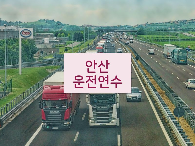 안산운전연수 후기