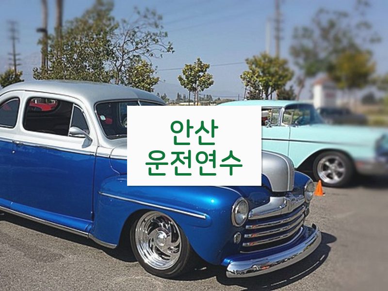 안산운전연수 후기