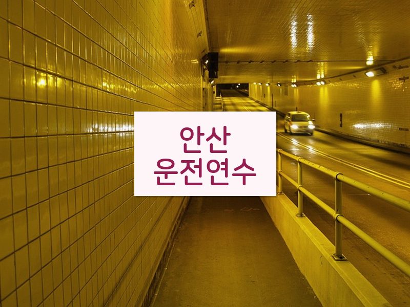 안산운전연수 후기