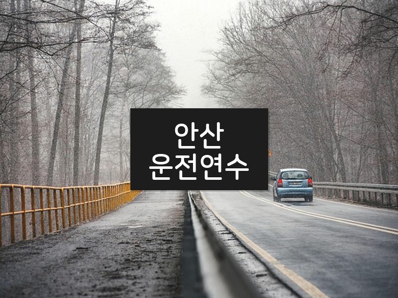 안산운전연수 후기