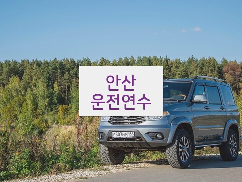 안산운전연수 후기