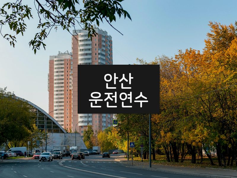 안산운전연수 후기