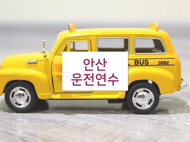 안산운전연수 후기