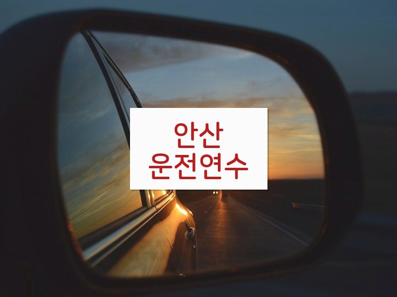 안산운전연수 후기