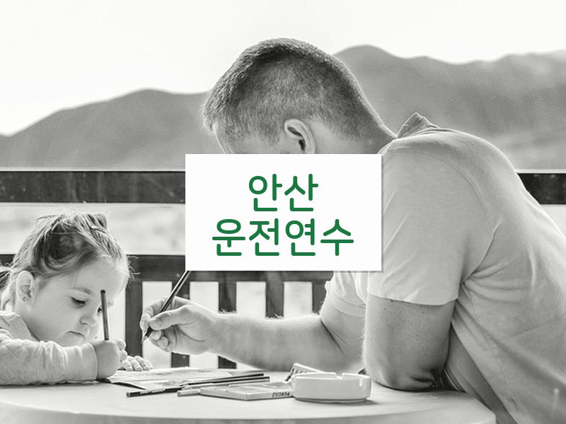 안산운전연수 후기
