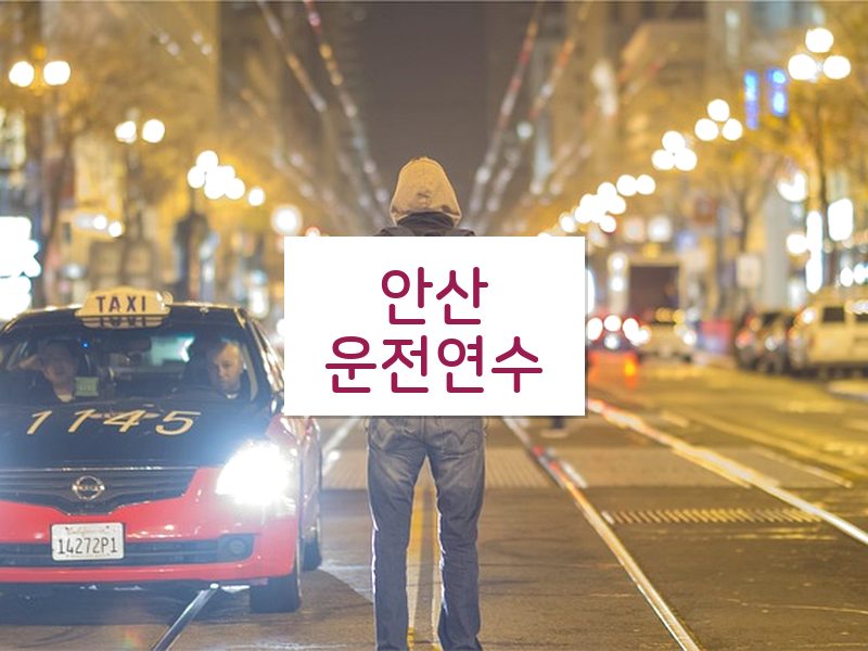 안산운전연수 후기