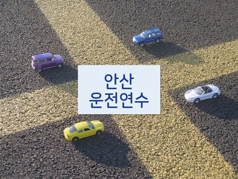 안산운전연수 후기