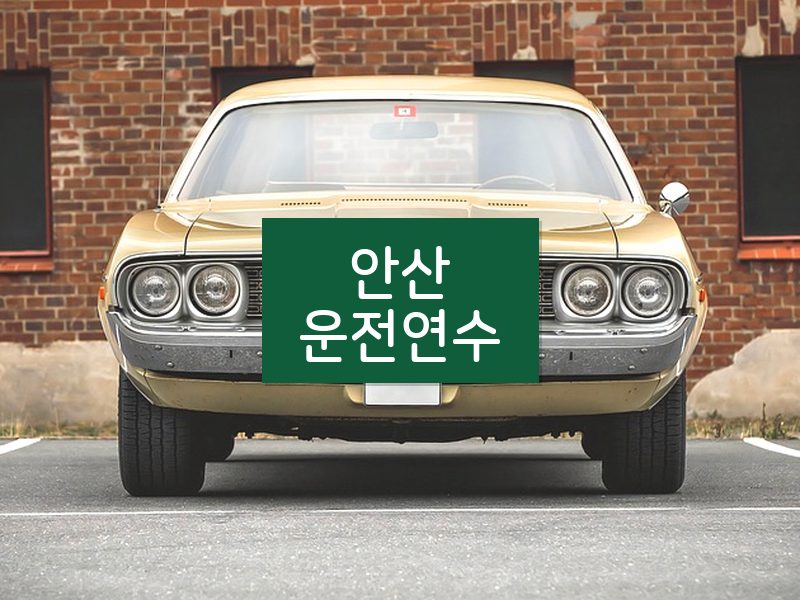 안산운전연수 후기