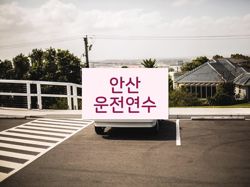 안산운전연수 후기