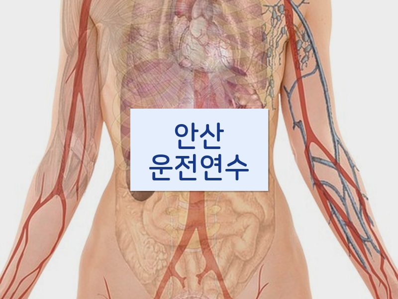 안산운전연수 후기
