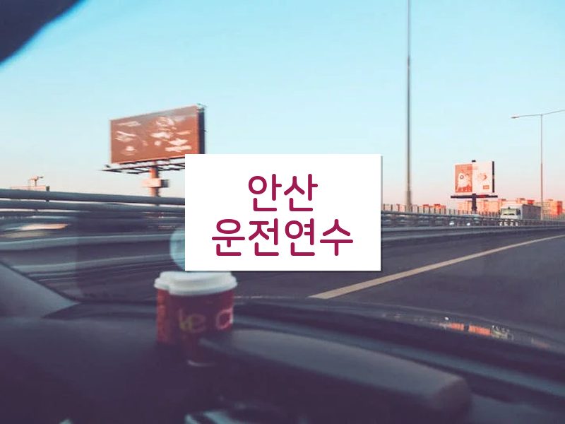 안산운전연수 후기