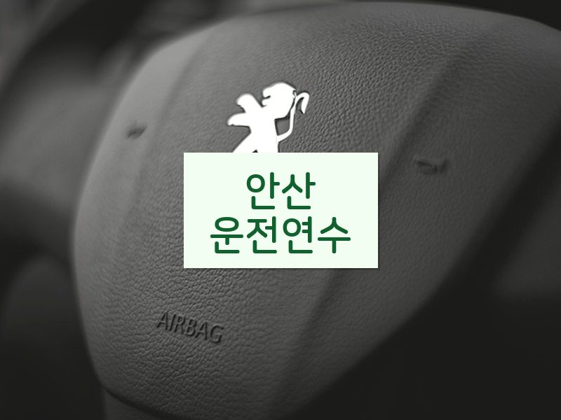 안산운전연수 후기