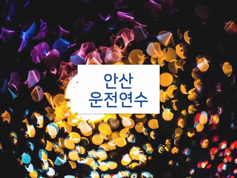 안산운전연수 후기