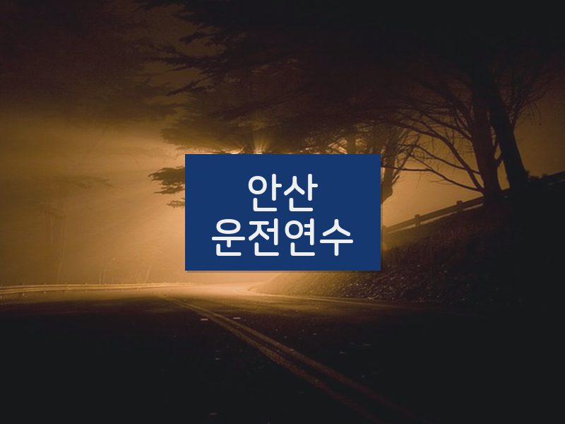 안산운전연수 후기