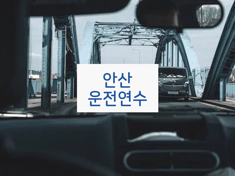 안산운전연수 후기