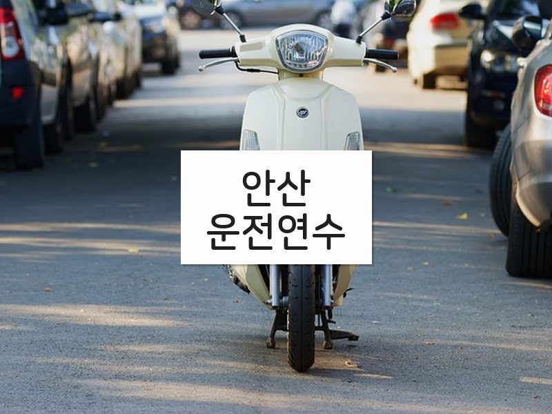 안산운전연수 후기
