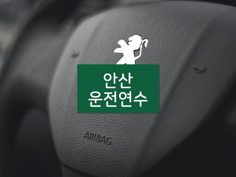 안산운전연수 후기