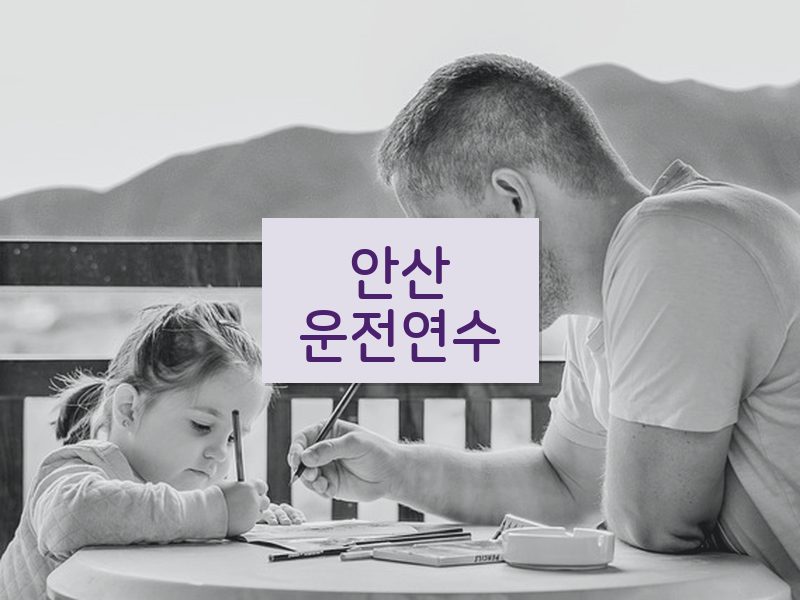 안산운전연수 후기