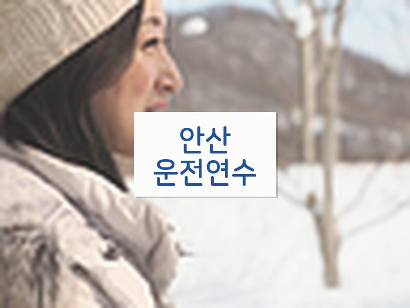 안산운전연수 후기