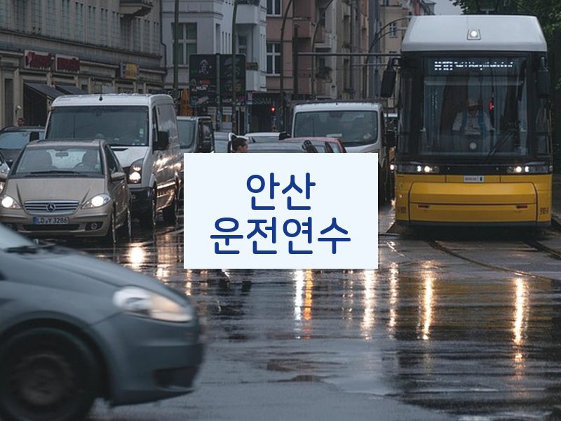 안산운전연수 후기