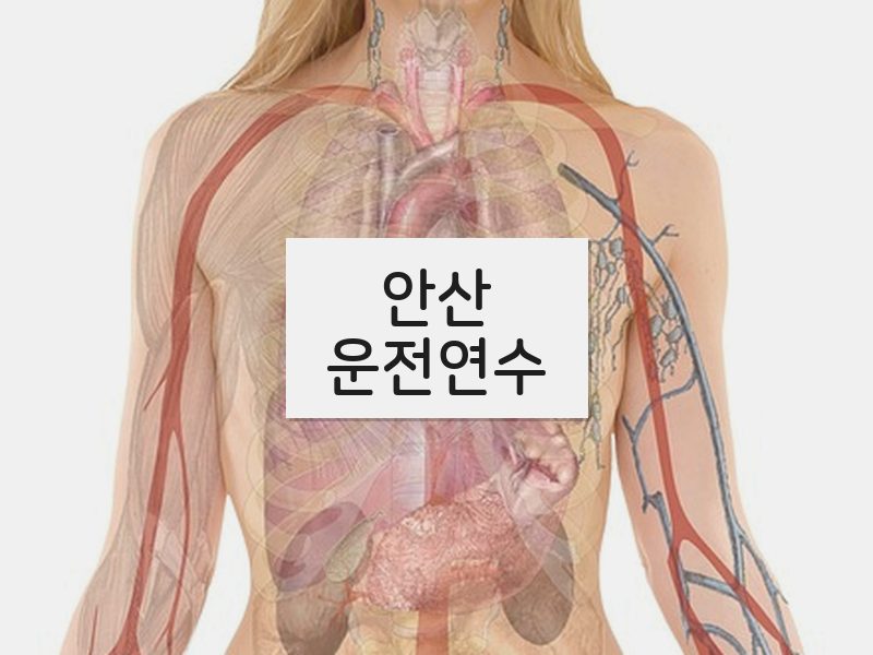 안산운전연수 후기