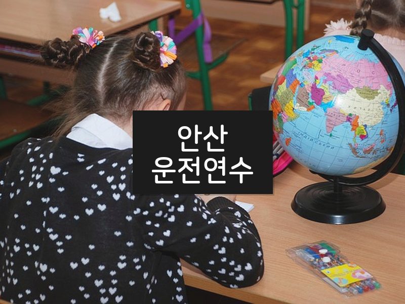 안산운전연수 후기
