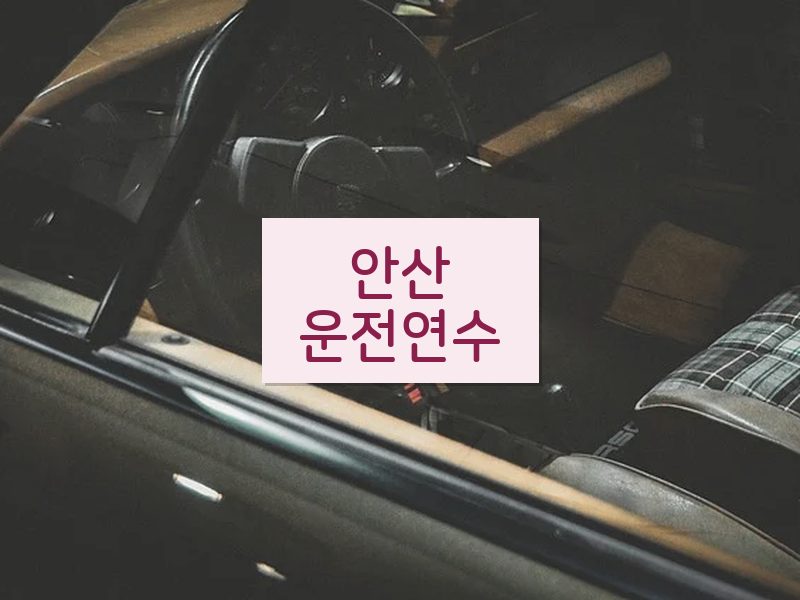 안산운전연수 후기