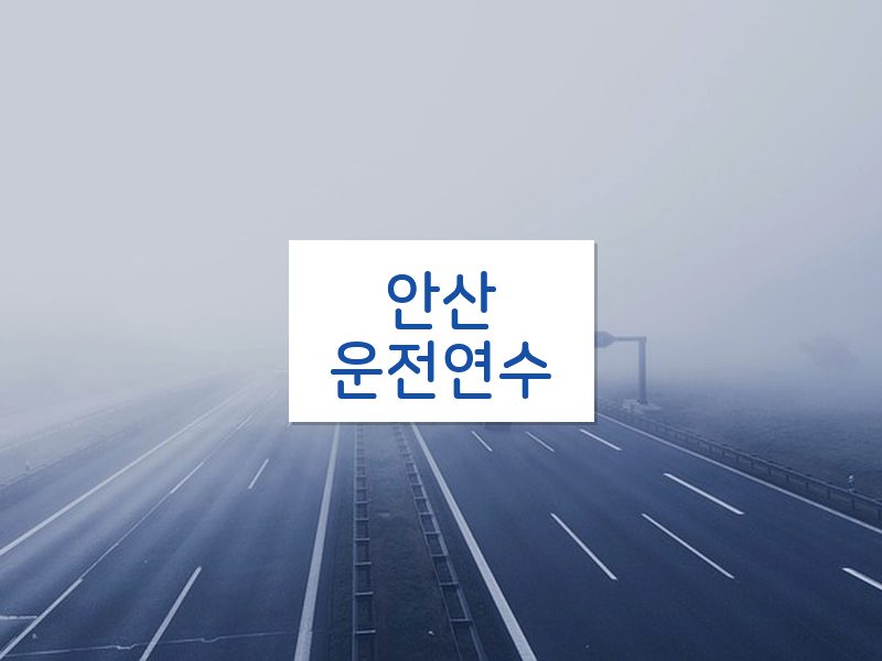 안산운전연수 후기
