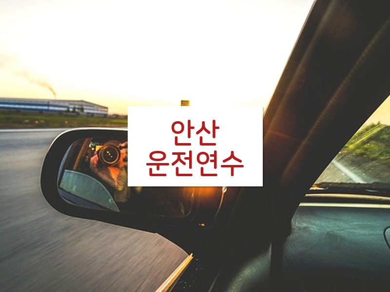 안산운전연수 후기