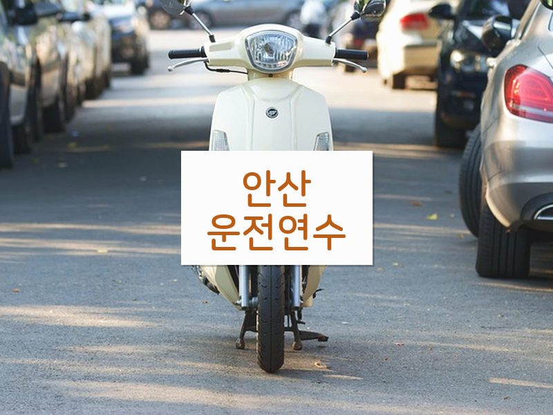 안산운전연수 후기