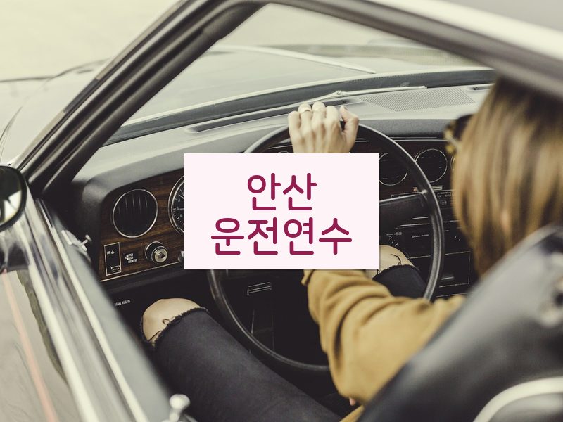 안산운전연수 후기