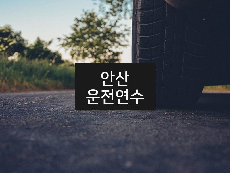 안산운전연수 후기