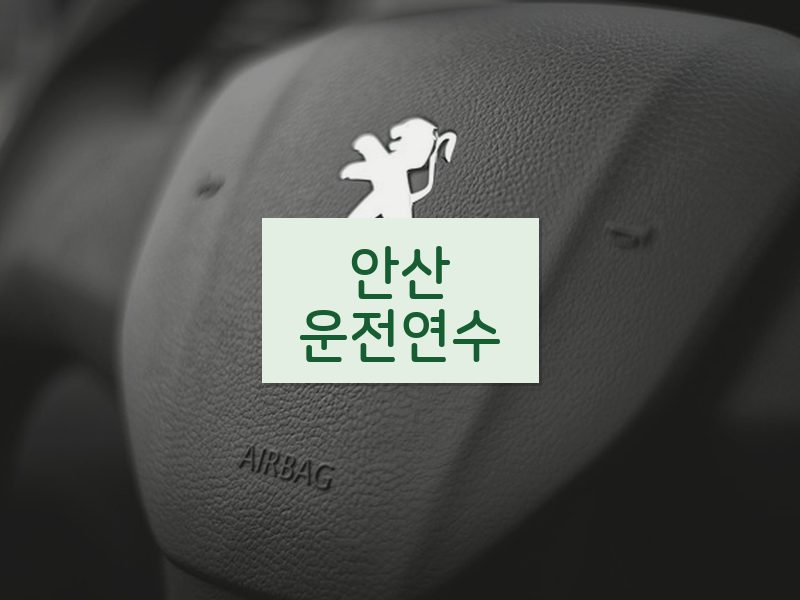 안산운전연수 후기