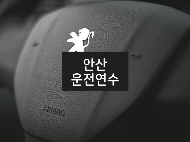 안산운전연수 후기