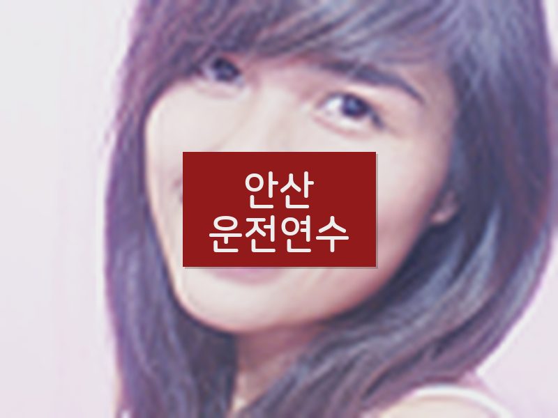 안산운전연수 후기