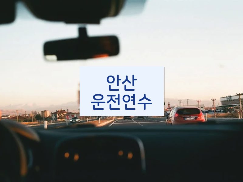 안산운전연수 후기