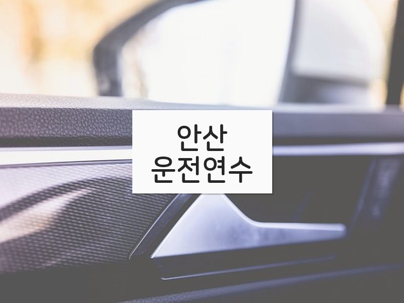 안산운전연수 후기