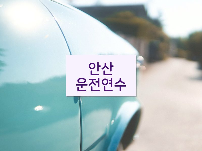 안산운전연수 후기