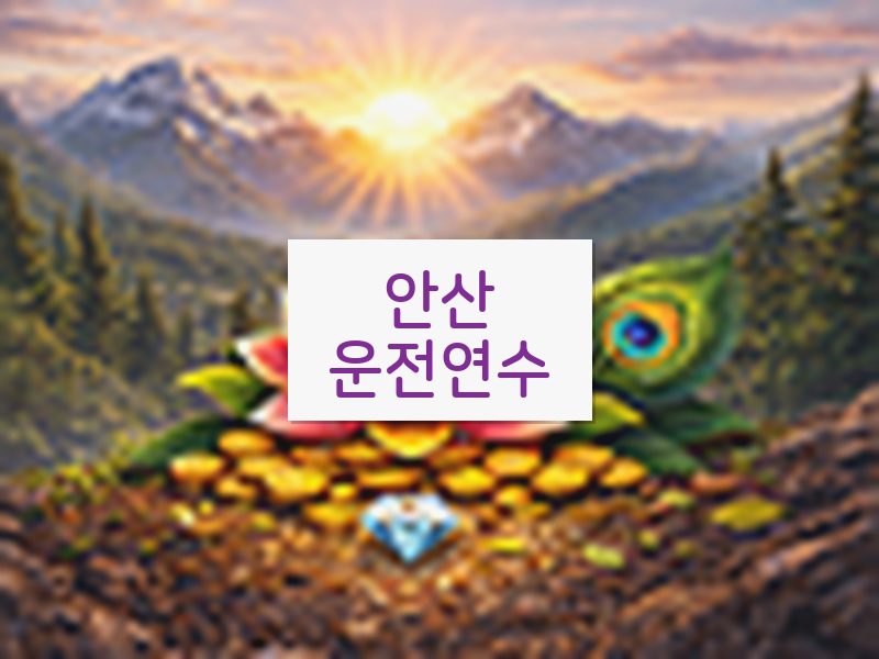 안산운전연수 후기