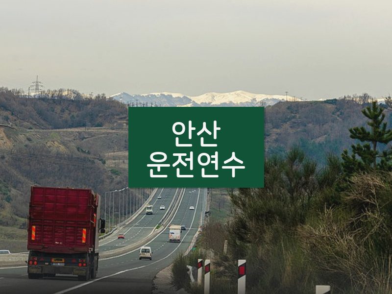 안산운전연수 후기