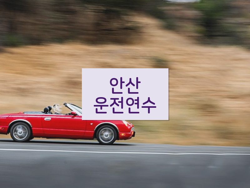 안산운전연수 후기