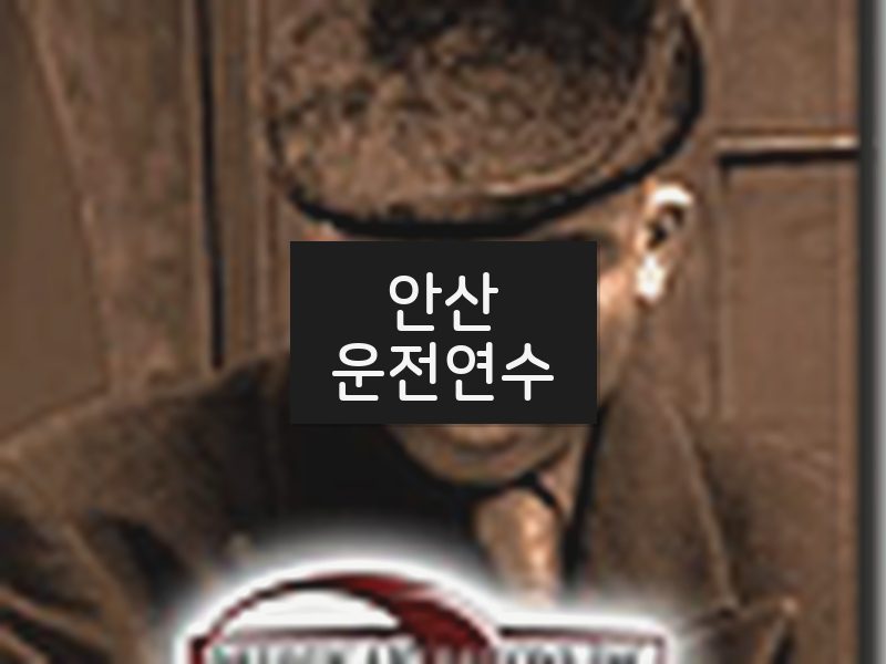 안산운전연수 후기