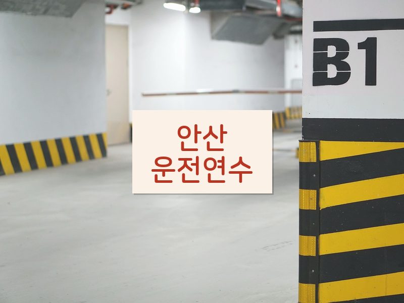안산운전연수 후기